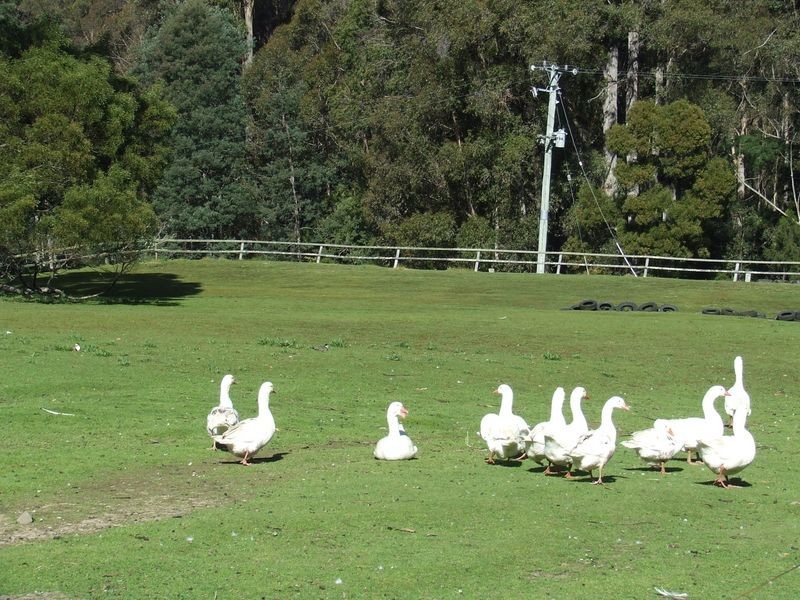 427 Summerleas Road, Kingston TAS 7050