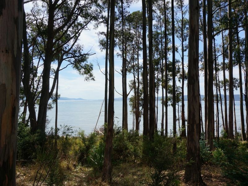 Birchs Bay TAS 7162