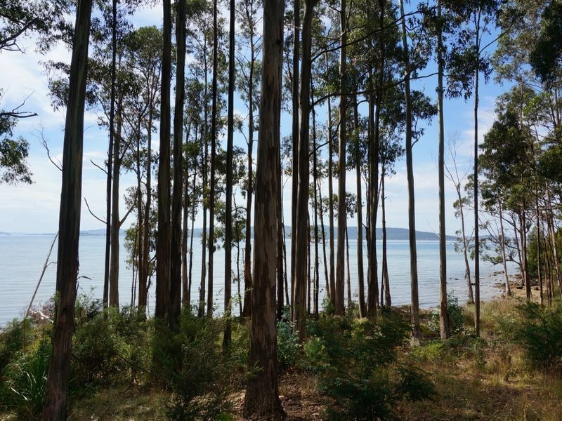 Birchs Bay TAS 7162