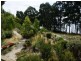 Birchs Bay TAS 7162