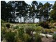 Birchs Bay TAS 7162