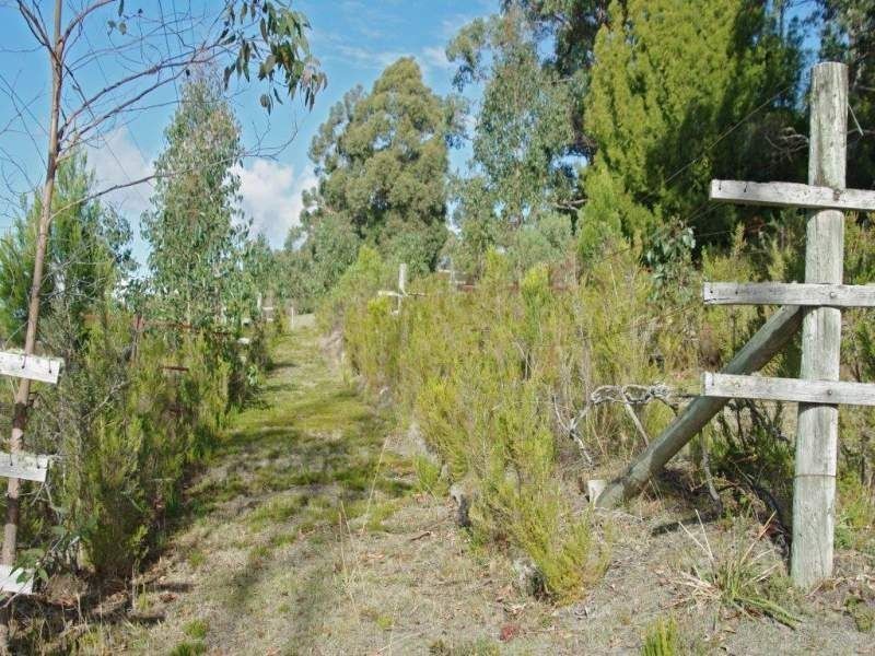 61 Hackford Drive, Kingston TAS 7050