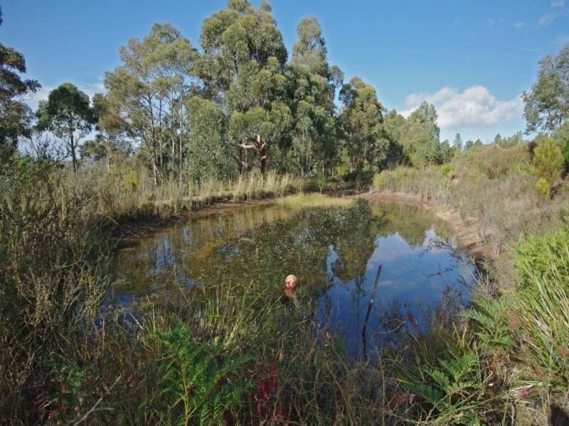 61 Hackford Drive, Kingston TAS 7050