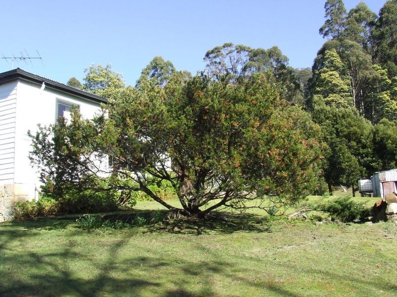 119 Andersons Road, Lower Longley TAS 7109
