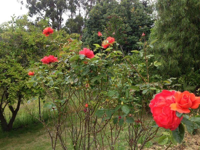 3558 Huon Highway, Franklin TAS 7113