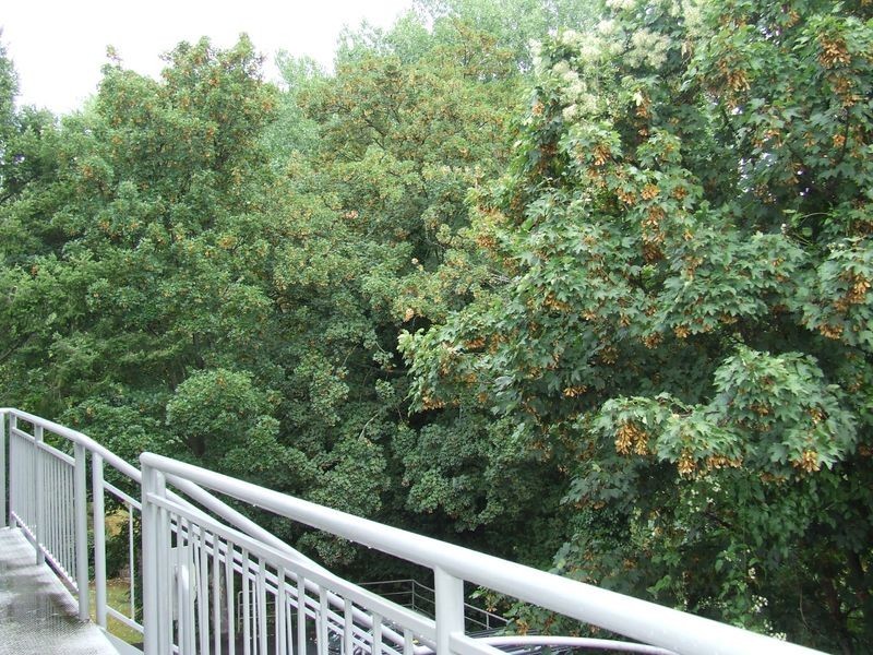 9/32 Pillinger Street, Dynnyrne TAS 7005