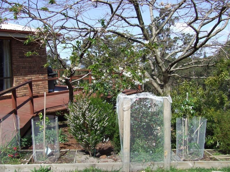 41 Denehey Road, Kingston TAS 7050
