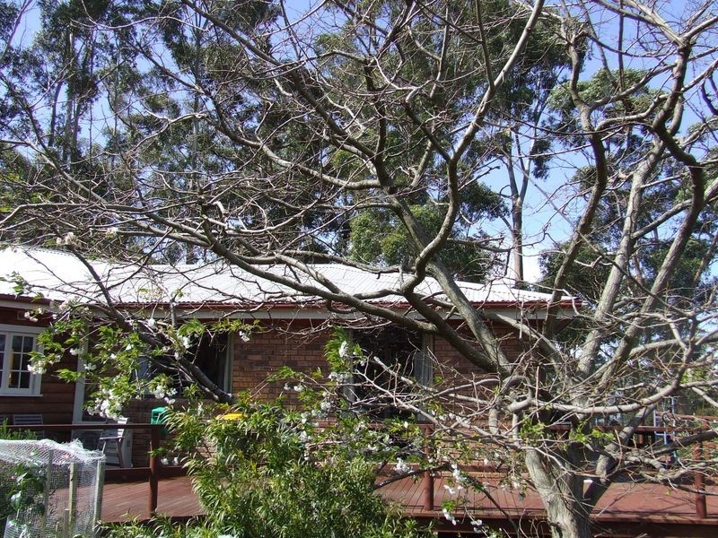 41 Denehey Road, Kingston TAS 7050