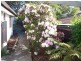 9 Willow Avenue, Kingston TAS 7050