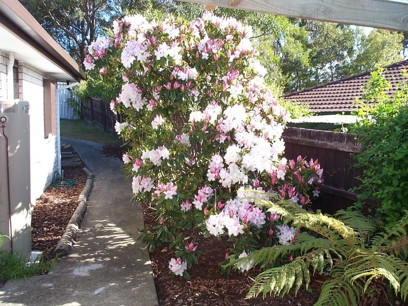 9 Willow Avenue, Kingston TAS 7050