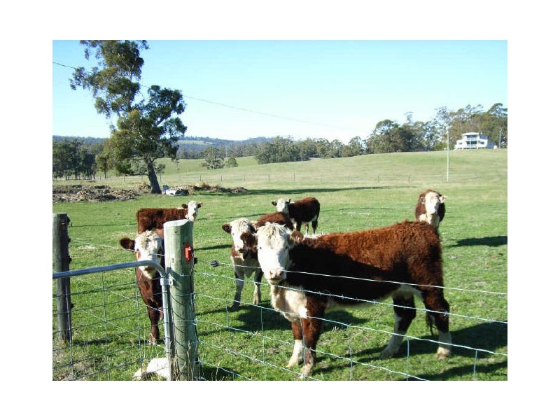 RA671 Sandfly Road, Sandfly TAS 7150