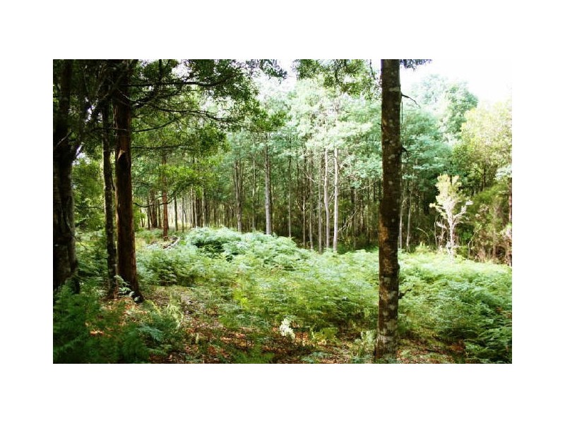 810 Van Morey Road, Margate TAS 7054