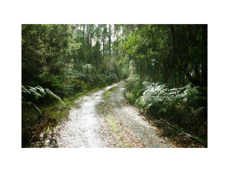 810 Van Morey Road, Margate TAS 7054