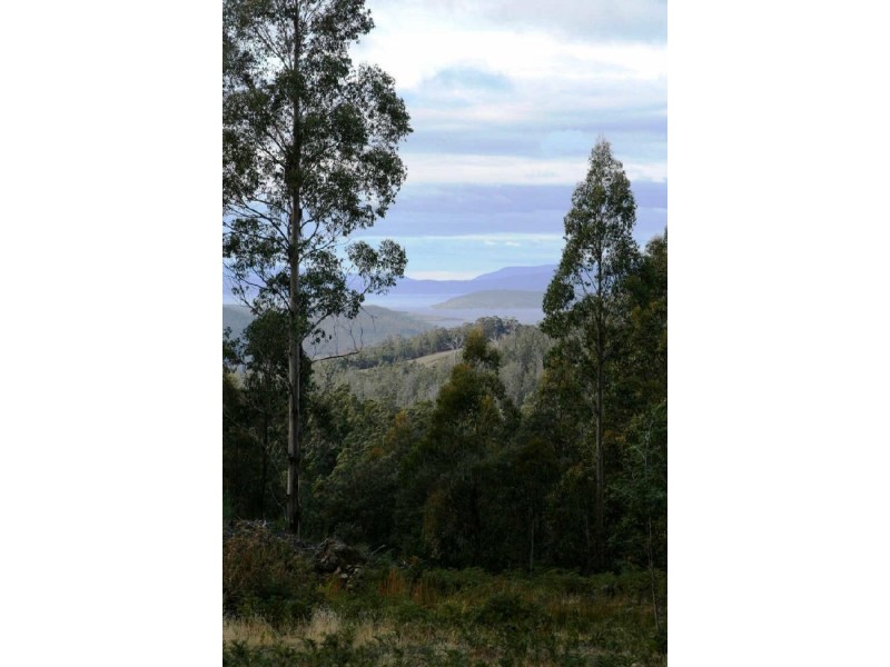 810 Van Morey Road, Margate TAS 7054