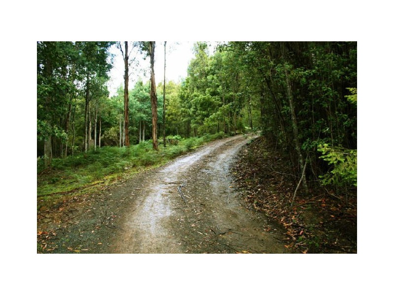 810 Van Morey Road, Margate TAS 7054