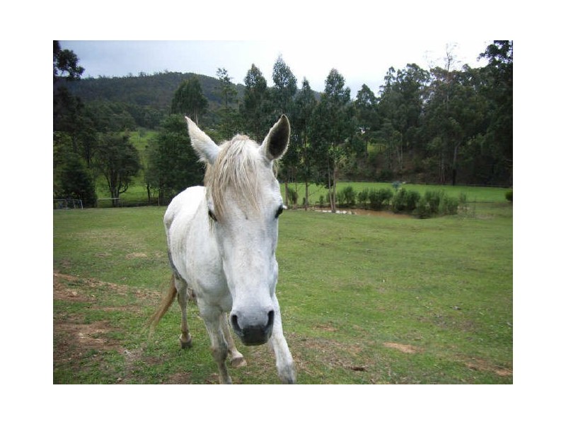 36 Mountain Road, Allens Rivulet TAS 7150