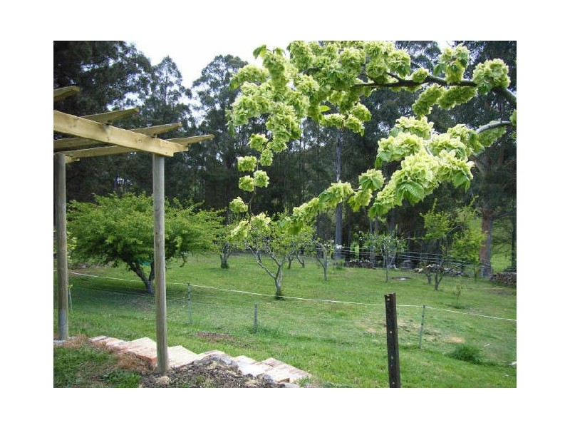 36 Mountain Road, Allens Rivulet TAS 7150