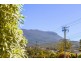 1 Cedar Court, Kingston TAS 7050
