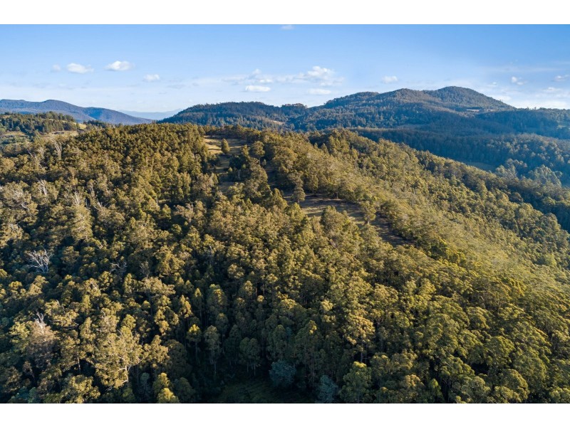 Lot 2,4,5, Pioneer Road, Kaoota TAS 7150