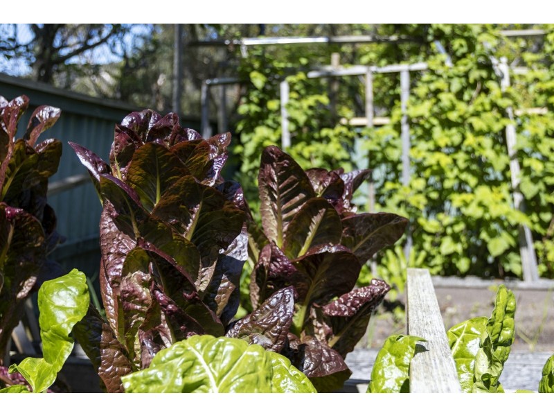 77 Watsons Road, Kettering TAS 7155