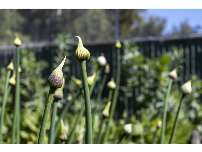 77 Watsons Road, Kettering TAS 7155