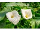 75 Saddle Road, Kettering TAS 7155