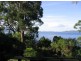 231 Coningham Road, Coningham TAS 7054