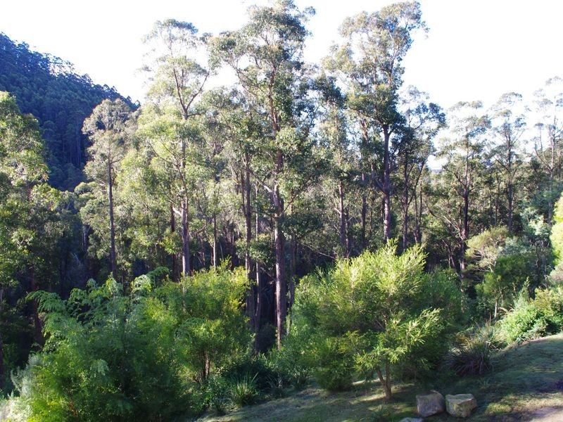 326 Saddle Road, Kettering TAS 7155