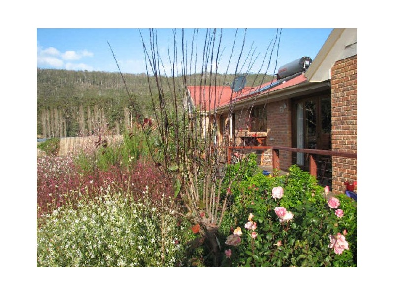 Allens Rivulet TAS 7150