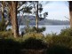 46 Derwent Avenue, Margate TAS 7054