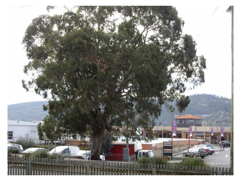 7/2-6 Denison Street, Kingston TAS 7050