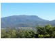58 Hutchins Street, Kingston TAS 7050