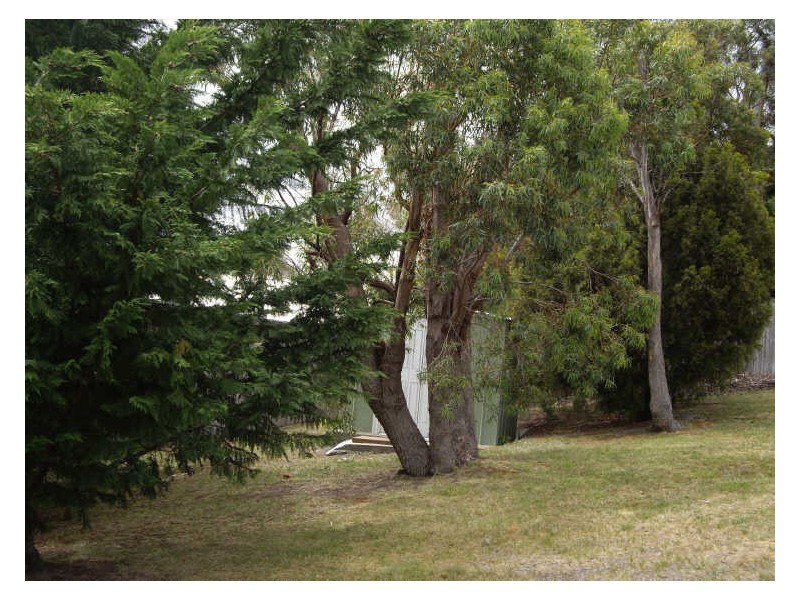 58 Hutchins Street, Kingston TAS 7050