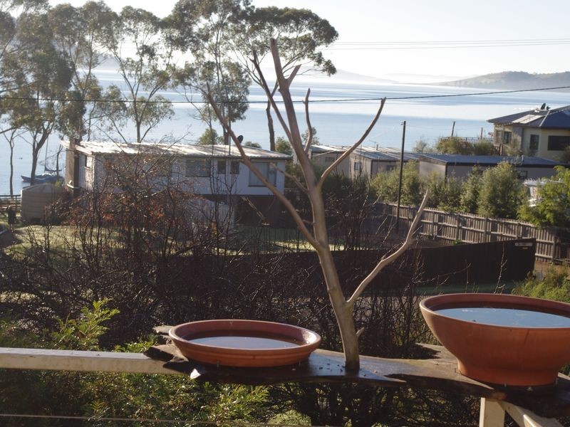 246 Coningham Road, Coningham TAS 7054