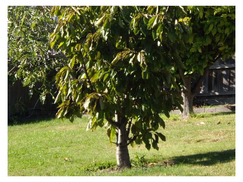 7 Killara Way, Kingston Beach TAS 7050