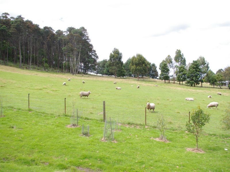 41 Cuthberts Road, Margate TAS 7054