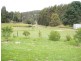 41 Cuthberts Road, Margate TAS 7054