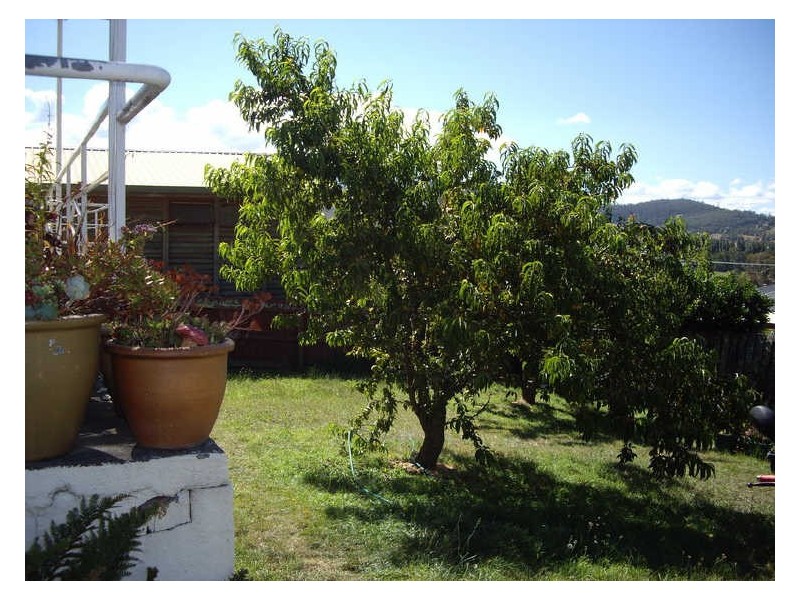 1729 Channel Highway, Margate TAS 7054