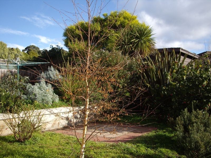 261 Roslyn Avenue, Blackmans Bay TAS 7052