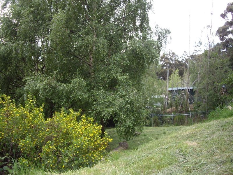 123 Gallaghers Road, Flowerpot TAS 7163