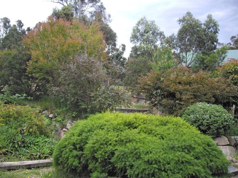 24 Epacris Court, Howden TAS 7054