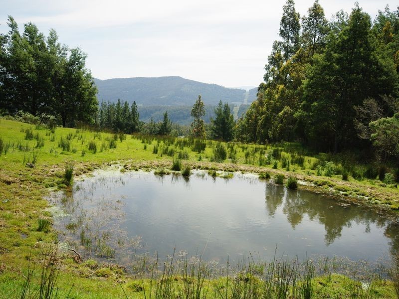 225 Umfrevilles Road, Kaoota TAS 7150