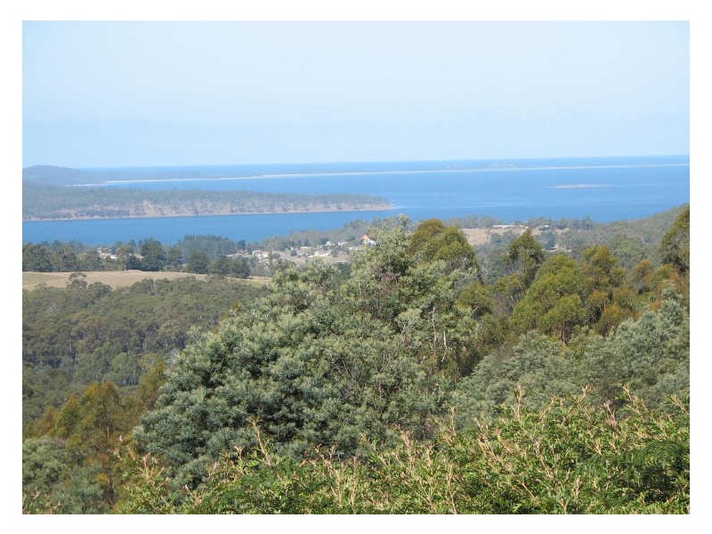 81 Palmers Road, Oyster Cove TAS 7150