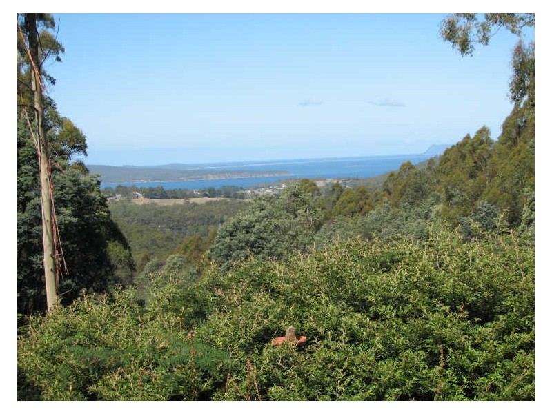 81 Palmers Road, Oyster Cove TAS 7150
