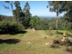 81 Palmers Road, Oyster Cove TAS 7150