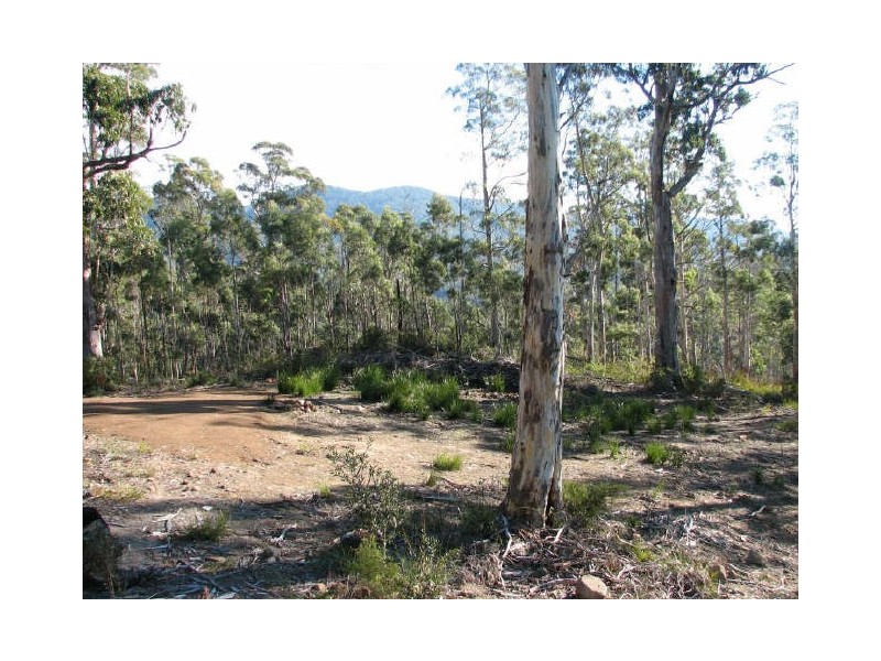 Lot 2 Van Morey Rd, Margate TAS 7054