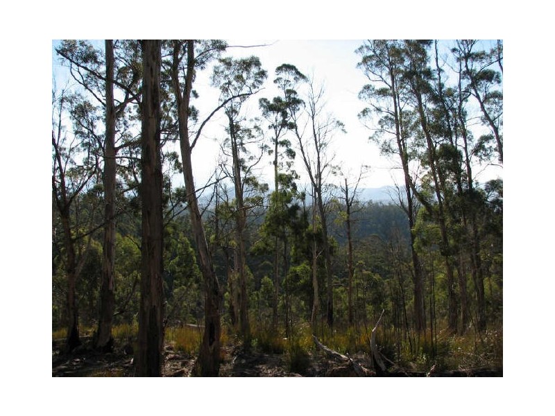 Lot 2 Van Morey Rd, Margate TAS 7054