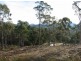 Lot 1/159 Old Bernies Road, Margate TAS 7054