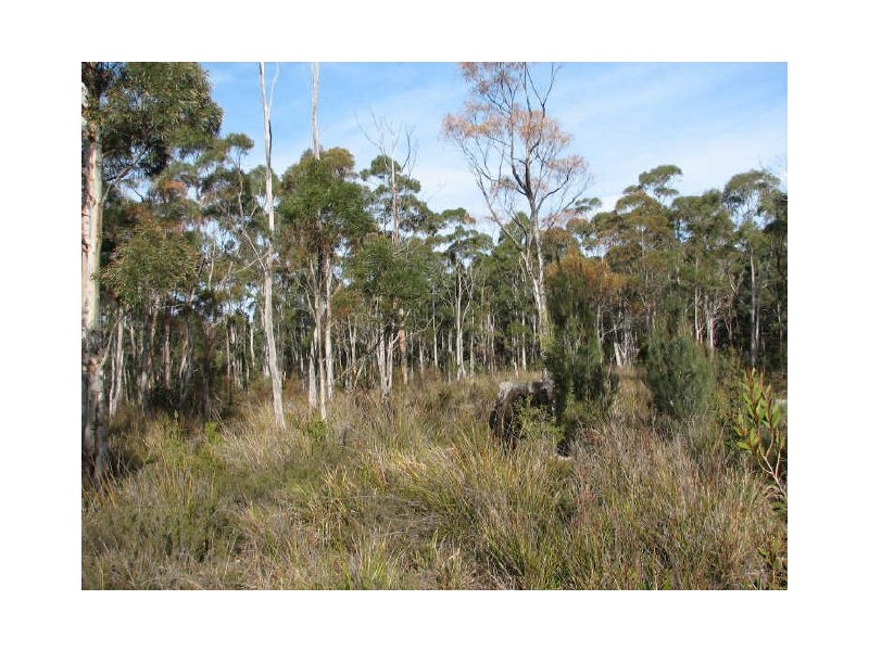 Lot 1/159 Old Bernies Road, Margate TAS 7054