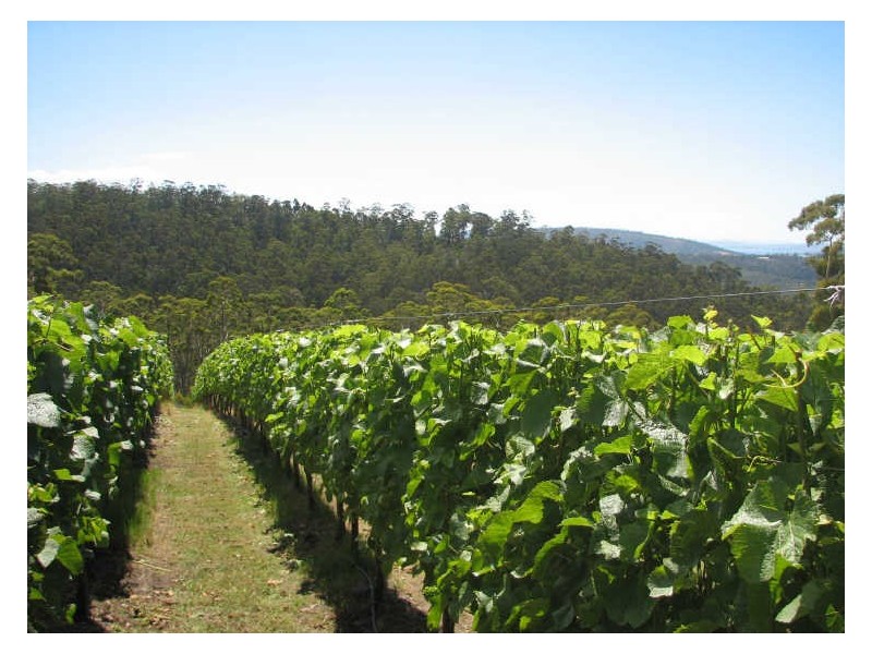 128 Groombridges Road, Kettering TAS 7155